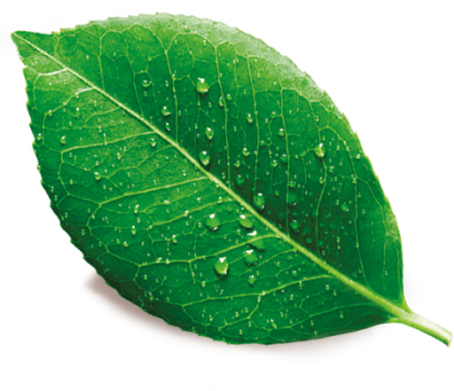 CleanShield beltéri védőbevonat