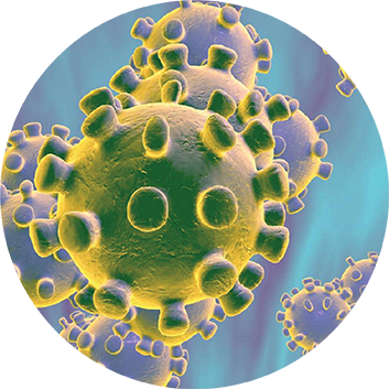 Koronavírus, SARS, MERS, 2019-nCoV